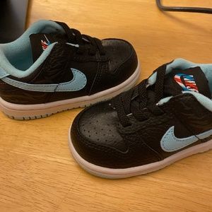 Toddler 6C Nike Dunks